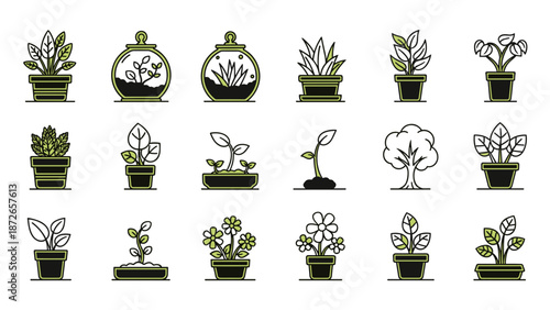 A set of vector illustrations of various plants in pots for design and decoration