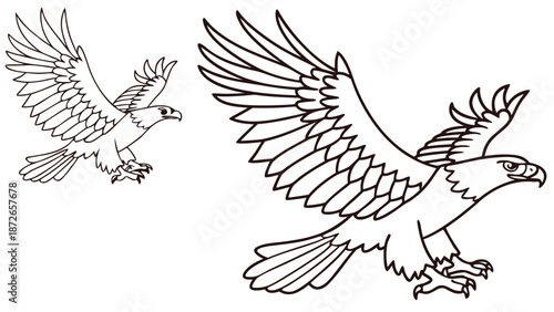 Bird martial eagle coloring page for kids