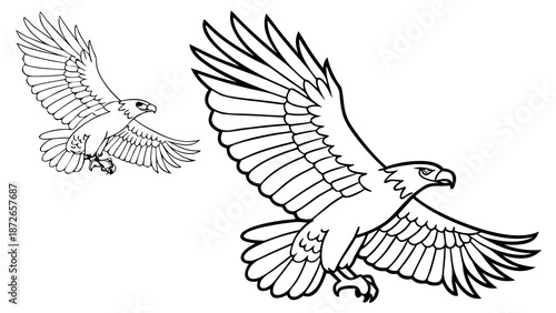 Bird martial eagle coloring page for kids
