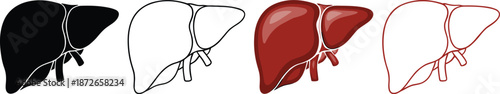 Human liver anatomy icons in solid, outline, and colored styles for medical, educational, and healthcare design projects