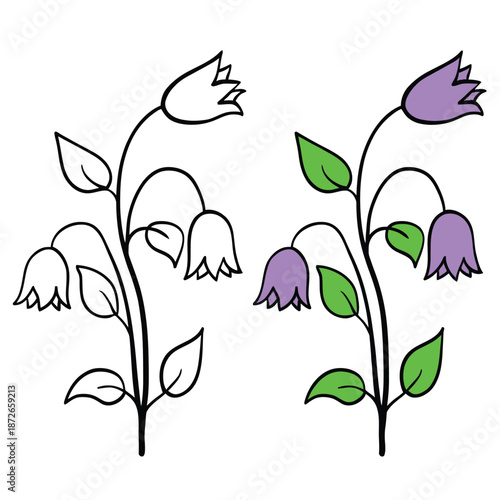 Simple illustration of bellflower plants with green leaves and purple blooms