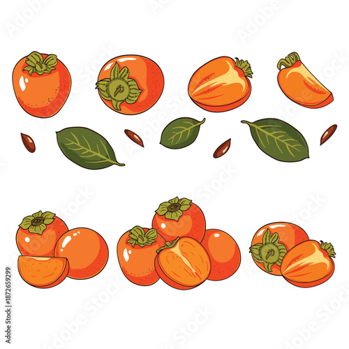 Illustration of ripe persimmon fruits slices leaves and seeds on a white background