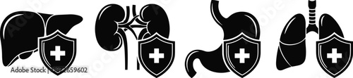 Human organ health protection icons set with medical shield symbols for liver, kidney, stomach, and lung wellness