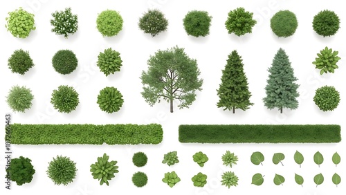Garden landscape collection with various green plants