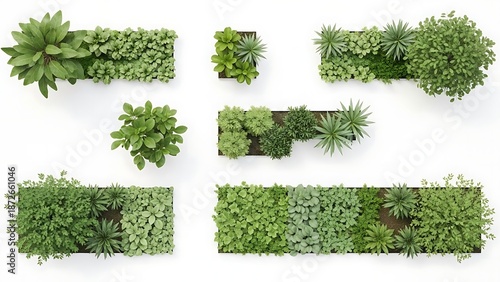 Top view of various green garden plants and foliage