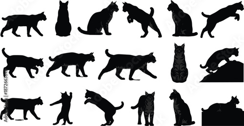 Set of wild cat silhouettes, bobcat and lynx icons, feline predators jumping and walking, domestic cat behavior vector collection, isolated.