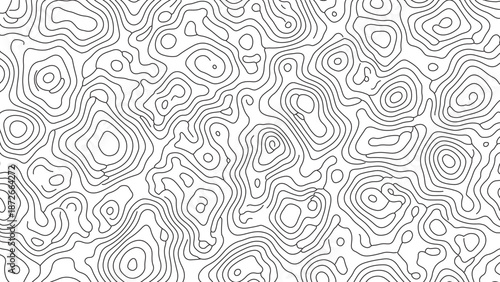 Abstract black and white topographic map pattern with swirling lines and contours