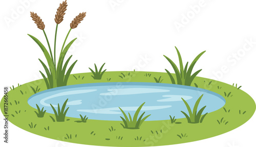 Peaceful pond, green grass, cattails, freshwater ecosystem, nature landscape, calm water, serene environment, wetland habitat, outdoor scenery, vegetation, reflection, tranquil, biodiversity, reeds