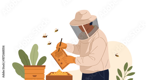 Professional beekeeper in a protective suit and hat working with a honeycomb frame while bees fly around a beehive.