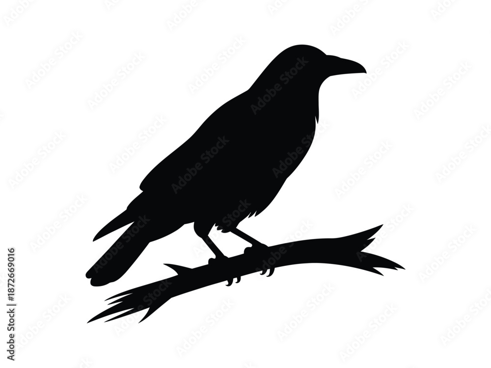 Obraz premium Raven Crow Silhouette on Branch – Black Bird Wildlife Vector Illustration