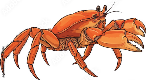 Vibrant Crab Illustration Close-up of a Detailed Crustacean with Strong Claws