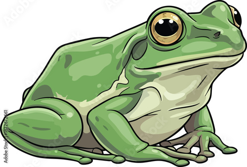 Cartoon Green Tree Frog Illustration A Colorful Amphibian Art