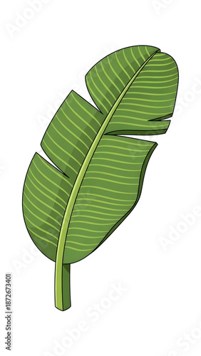 Exotic Banana Leaf Vector Illustration - Lush Tropical Foliage Element Isolated on Black