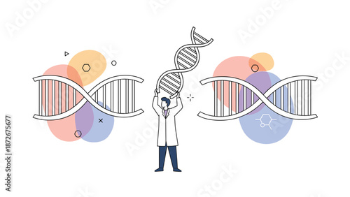 Scientist in a lab coat connects two halves of a DNA double helix structure to represent genetic research, engineering, and medical advancements.