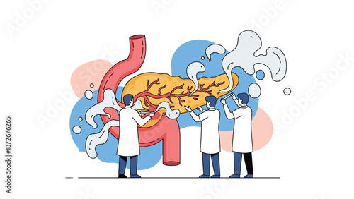 Medical professionals examining giant human pancreas and digestive system for endocrinology research and metabolic health diagnosis.
