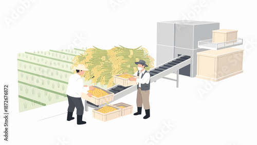 Warehouse workers inspecting and sorting boxes on a conveyor belt.