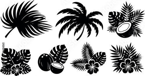 Tropical palm leaves and coconut vector silhouettes with hibiscus flowers in black and white design elements for summer decor and nature themes