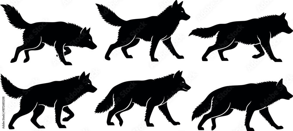 Fototapeta premium Silhouette wolf vector set showing different walking and running poses for design and creative projects