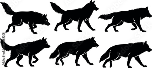 Silhouette wolf vector set showing different walking and running poses for design and creative projects