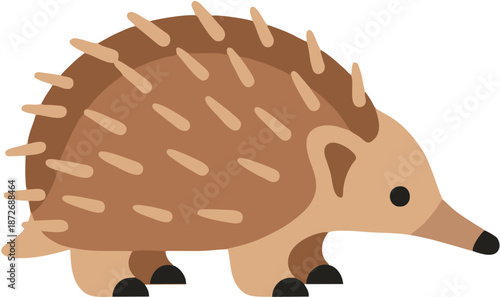 Echidna Animal Cartoon Illustration.