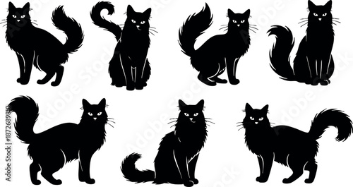 Black cat silhouettes in various poses vector collection with tails and ears detailed natural shapes
