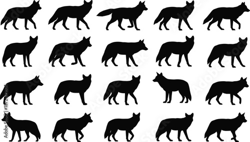 Collection of wolf and canine silhouettes in varied standing and walking poses isolated on white background for wildlife and design use