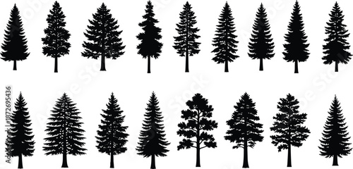 Black silhouettes of coniferous spruce and pine trees for landscape forest design architectural rendering cad drawing flat vector illustration set isolated