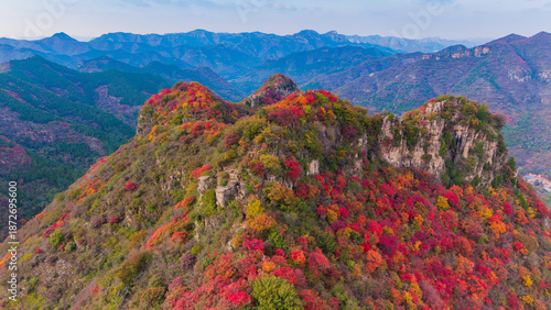 The red leaves on the hillside in autumn