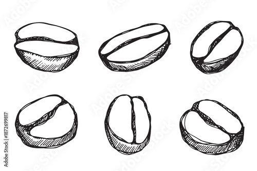 Set of hand drawn fresh roasted coffee bean Arabica robusta seed doodle Single element for design print packaging label decor