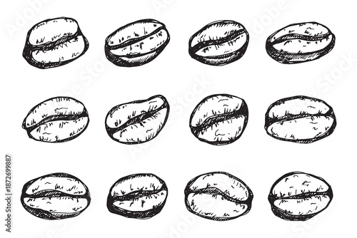 Set of hand drawn fresh roasted coffee bean Arabica robusta seed doodle Single element for design print packaging label decor