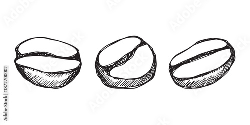 Set of hand drawn fresh roasted coffee bean Arabica robusta seed doodle Single element for design print packaging label decor