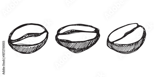 Set of hand drawn fresh roasted coffee bean Arabica robusta seed doodle Single element for design print packaging label decor
