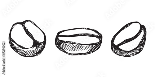 Set of hand drawn fresh roasted coffee bean Arabica robusta seed doodle Single element for design print packaging label decor