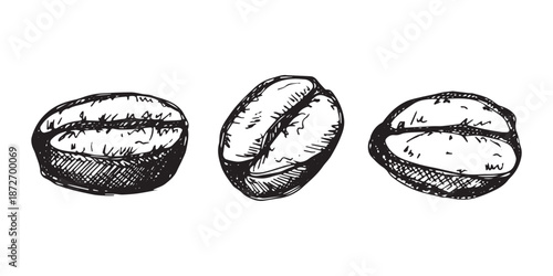 Set of hand drawn fresh roasted coffee bean Arabica robusta seed doodle Single element for design print packaging label decor