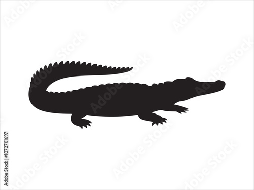 Vector of crocodile design, Silhouette of a crocodile vector illustration on white background
