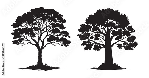 Tree silhouette isolated on white background. Vector illustration for your design.