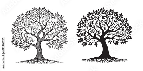 MTree silhouette isolated on white background. Vector illustration for your design.