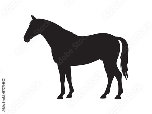 Rearing horse, Horse Silhouette, black horse silhouette vector illustration 