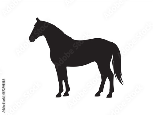 Rearing horse, Horse Silhouette, black horse silhouette vector illustration 