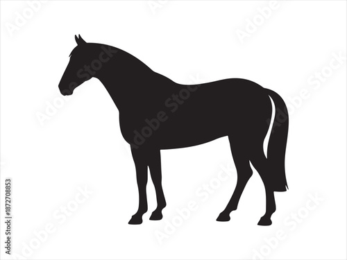 Rearing horse, Horse Silhouette, black horse silhouette vector illustration 