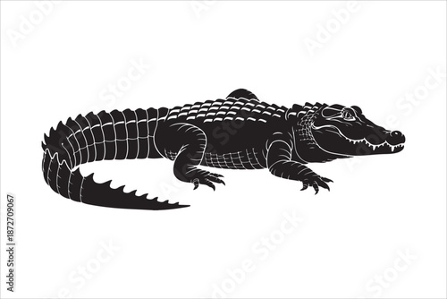 Crocodile alligator silhouette vector, Collection of Alligator and Crocodile Silhouette vector illustration