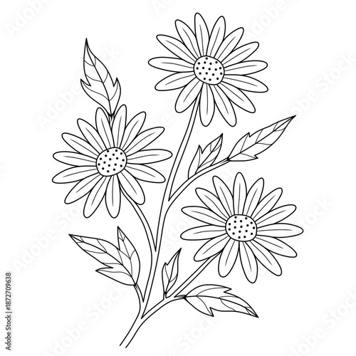 beautiful and elegant daisy flower line art.simple hand drawn flower illustration