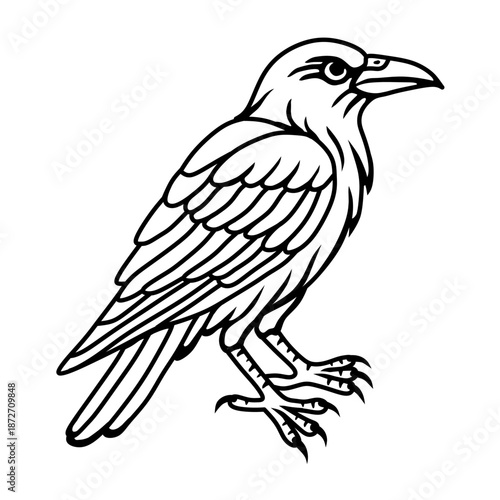 black and white tattoo of a crow or raven.hand drawn line art illustration of a crow