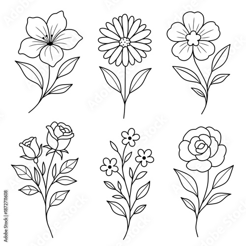 black and white flower line art vector set.aesthetic flower collection sketch illustration