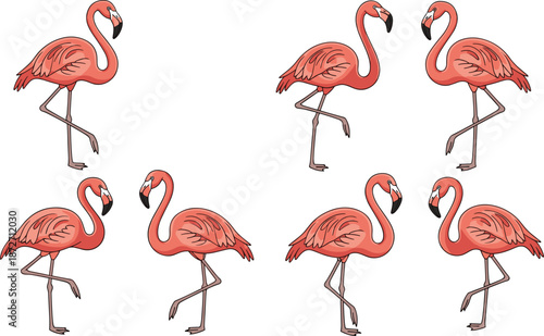 Collection of cartoon pink flamingos standing on one leg and walking bird animal