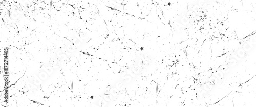 Vector abstract grunge black and white dust paint splashes background