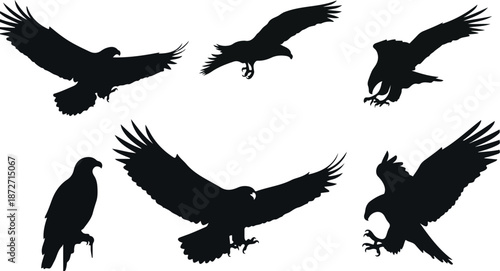 Birds in Flight Silhouettes Digital Illustration