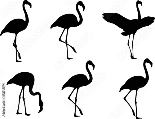 Collection of flamingo silhouettes in different poses and actions against a simple background in vector format.