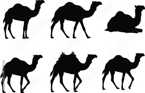 A series of camel silhouettes walking and resting in a desert landscape viewed from the side