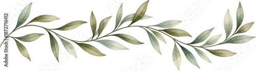 Elegant watercolor green leaf vine border illustration isolated on white background for wedding invitations and nature themed designs